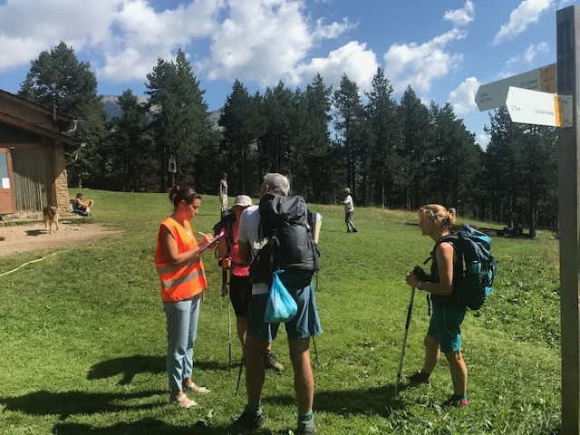 Análisis de visitantes - encuestas campo